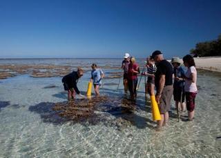 Lady Elliot Island Eco Resort エクステリア 写真